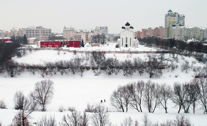 Успенский мужской монастырь, Орёл (Орёл, город, Орловская область). общий вид в ландшафте, Свято-Успенский мужской монастырь, Январь 2011 г.