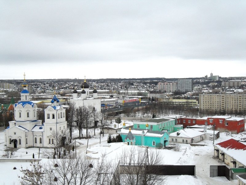 Успенский мужской монастырь, Орёл (Орёл, город, Орловская область). общий вид в ландшафте