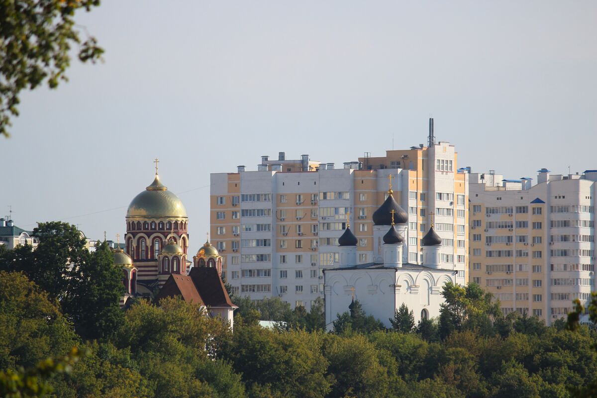 Успенский мужской монастырь, Орёл (Орёл, город, Орловская область). фасады, Вид с дистанции 2 км из парка на левом берегу Орлика