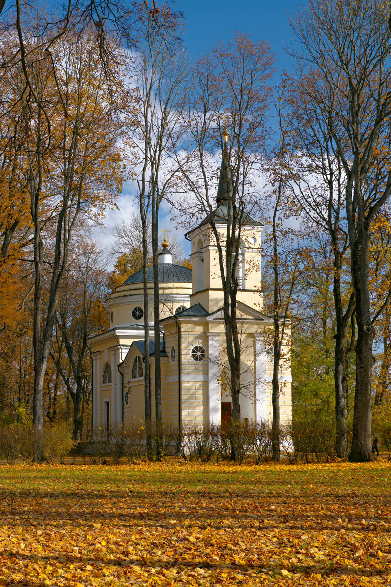 Церковь Преображения Господня, Спасское-Лутовиново (Мценский район и г. Мценск, Орловская область). общий вид в ландшафте, Вид церкви с запада