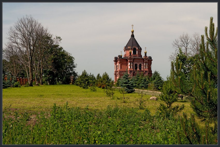 Суздаль. Суздальский православный лицей. Церковь Александра Невского. общий вид в ландшафте