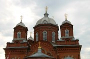 Кафедральный собор Преображения Господня, купола<br>, Бутурлиновка, Бутурлиновский район, Воронежская область