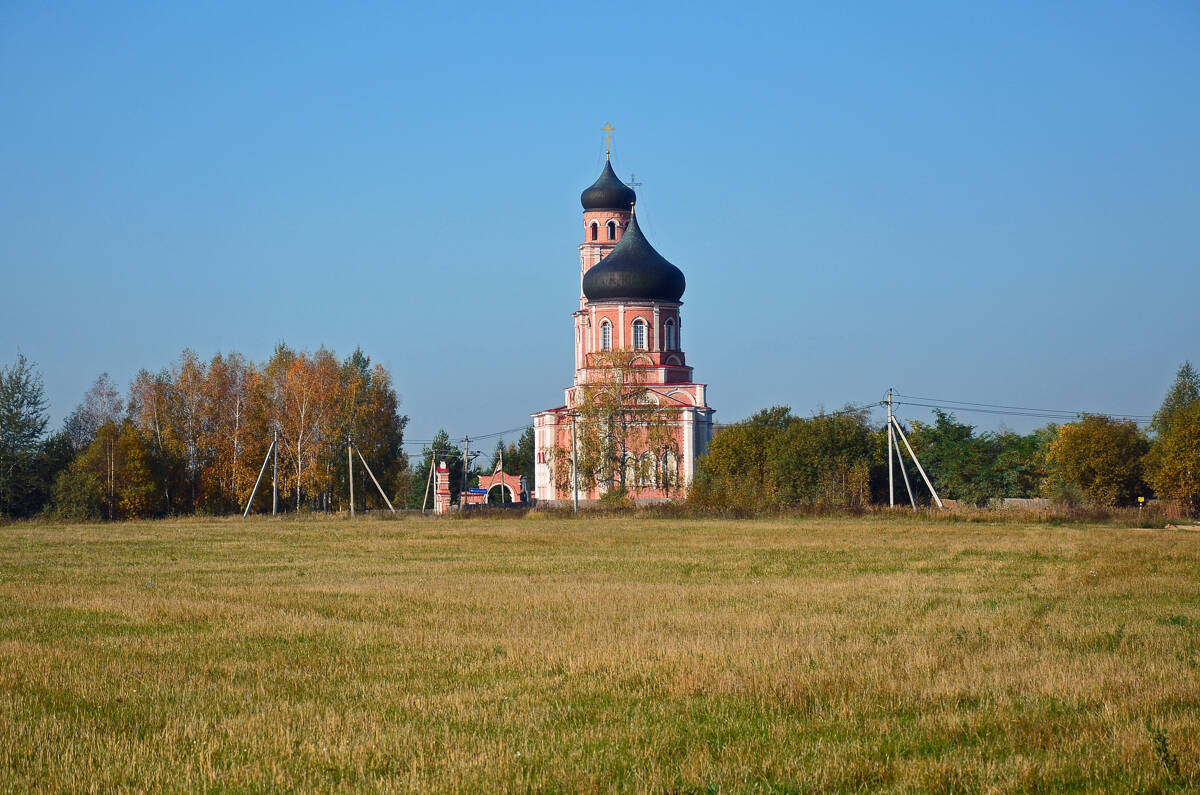 Церковь Воздвижения Креста Господня, Сокольниково (Домодедовский городской округ, Московская область). общий вид в ландшафте