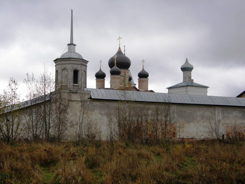 Троицкий Зеленецкий мужской монастырь, Зеленец (Волховский район, Ленинградская область). общий вид в ландшафте