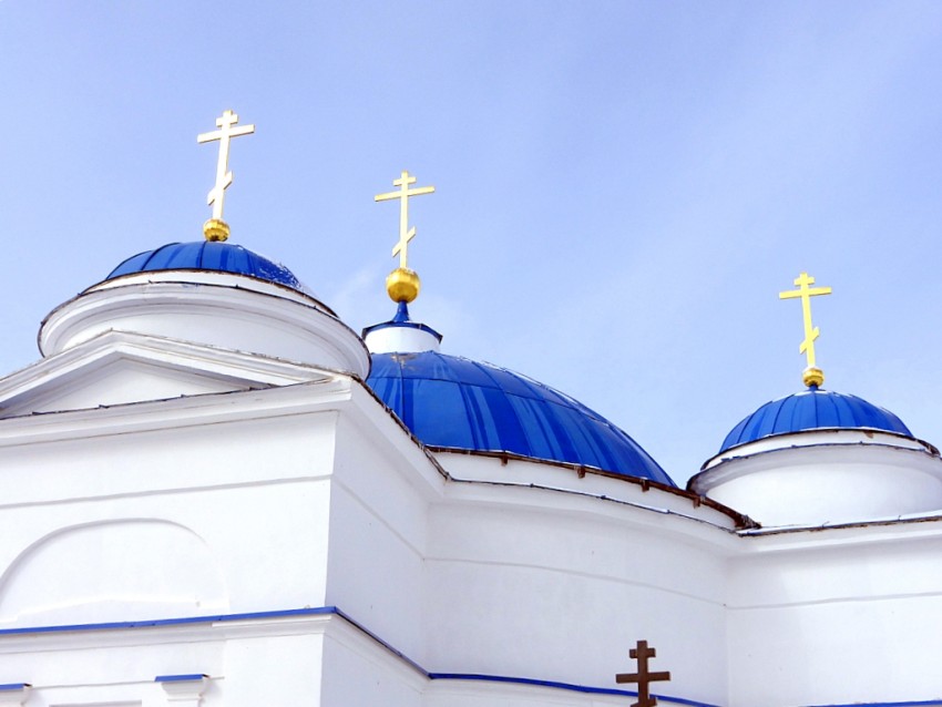 Церковь Рождества Пресвятой Богородицы, Упирвичи (Торжокский район и г. Торжок, Тверская область). архитектурные детали