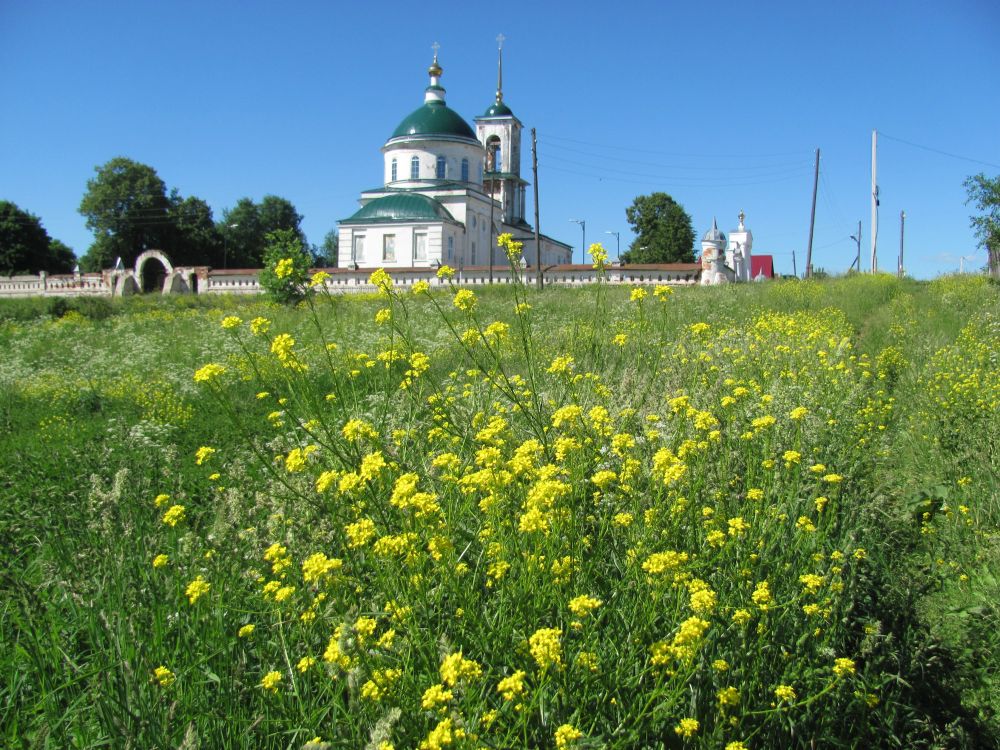 Церковь Троицы Живоначальной, Горки (Камешковский район, Владимирская область). общий вид в ландшафте, Летнее утро