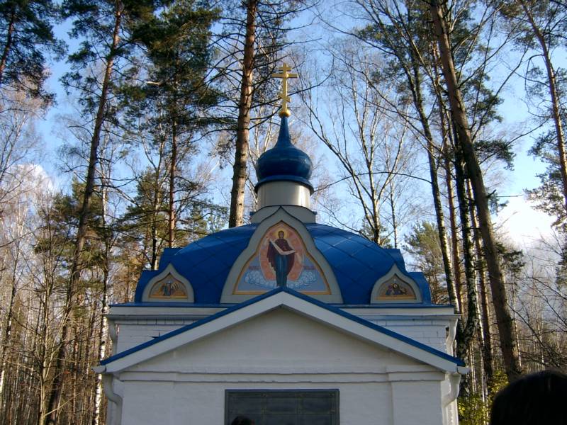 Церковь Покрова Пресвятой Богородицы, Новая Быковка (Камешковский район, Владимирская область). архитектурные детали