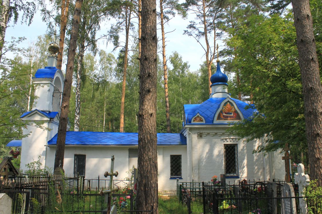 Церковь Покрова Пресвятой Богородицы, Новая Быковка (Камешковский район, Владимирская область). фасады, Вид с юга