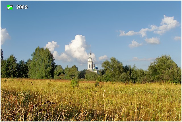 Усолье. Церковь Казанской иконы Божией Матери. общий вид в ландшафте, Панорама с запада