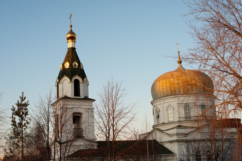 Орловка. Церковь Космы и Дамиана. архитектурные детали