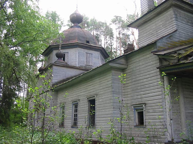 Церковь Смоленской иконы Божией Матери, Игнашевская (Малая Шалга) (Каргопольский район, Архангельская область). фасады, Вид вдоль северного фасада