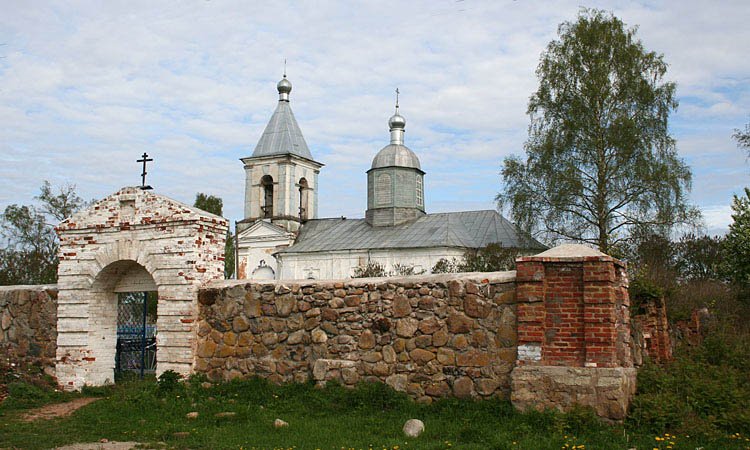 Церковь Успения Пресвятой Богородицы, Молочково (Солецкий район, Новгородская область). общий вид в ландшафте