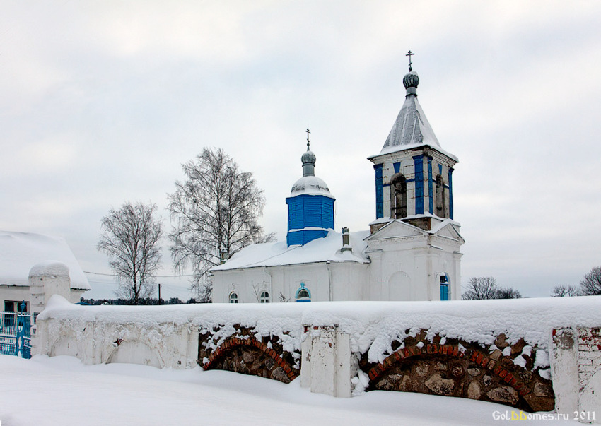 Церковь Успения Пресвятой Богородицы, Молочково (Солецкий район, Новгородская область). общий вид в ландшафте