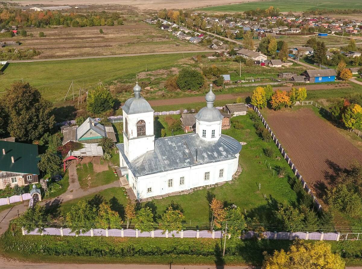 Церковь Троицы Живоначальной, Подгощи (Шимский район, Новгородская область). общий вид в ландшафте, вид сверху