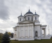 Кафедральный собор Вознесения Господня - Лысково - Лысковский район - Нижегородская область