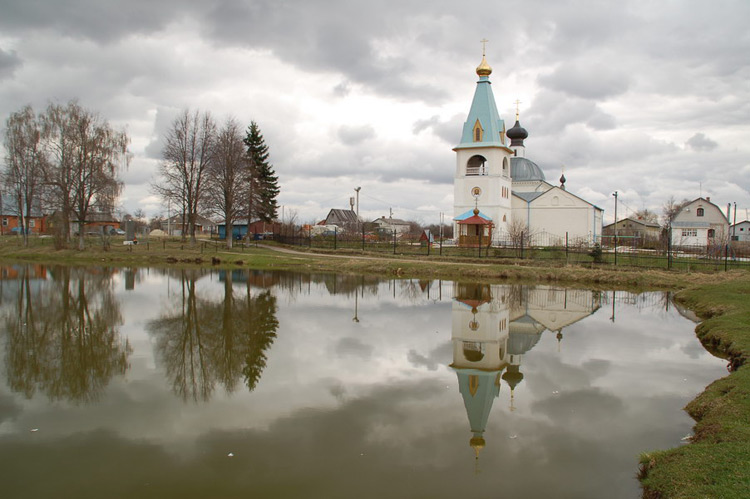 Церковь Николая Чудотворца, Лямцино (Домодедовский городской округ, Московская область). общий вид в ландшафте