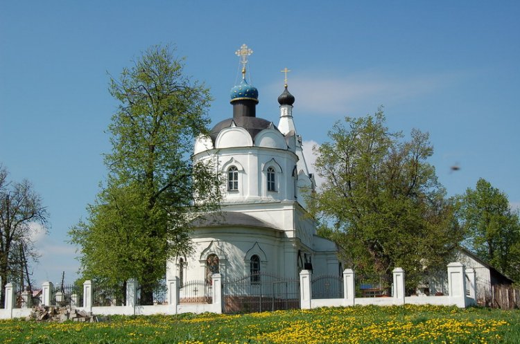 Домодедово. Церковь Космы и Дамиана в Меткине. общий вид в ландшафте