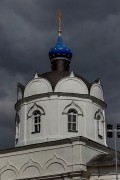 Церковь Космы и Дамиана в Меткине - Домодедово - Домодедовский городской округ - Московская область