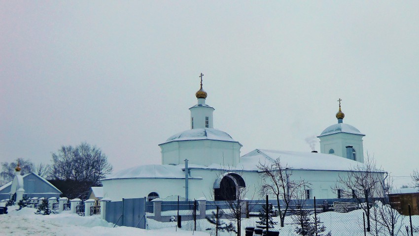 Церковь Николая Чудотворца, Высоцкое (Узловский район, Тульская область). общий вид в ландшафте