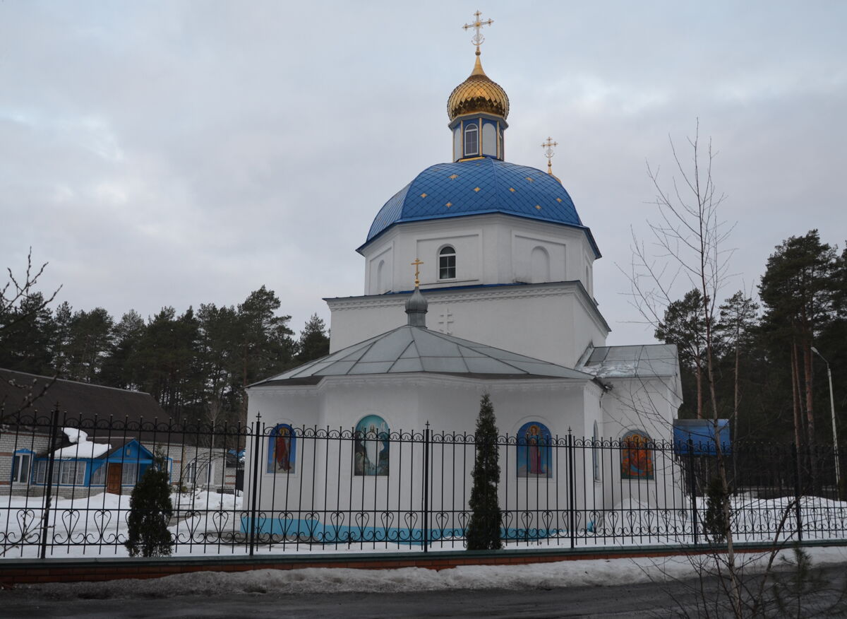 Церковь Покрова Пресвятой Богородицы в Шибенце, Фокино (Фокино, город, Брянская область). фасады, Вид с востока