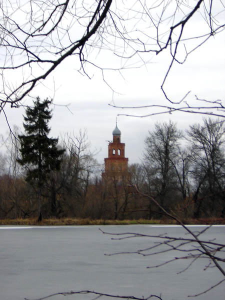 Церковь Вознесения Господня, Сенницы 2-е (Озёрский городской округ, Московская область). общий вид в ландшафте