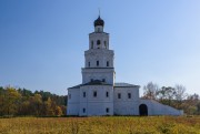 Церковь Вознесения Господня - Сенницы 2-е - Озёрский городской округ - Московская область