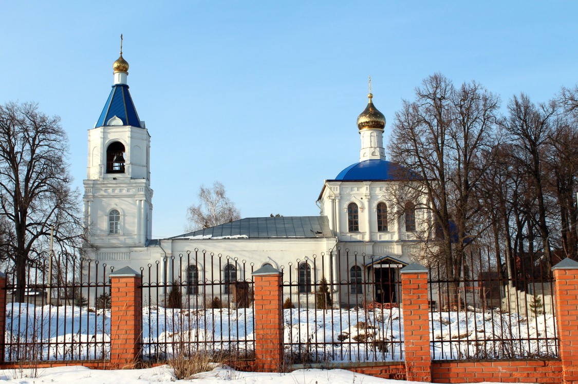 Церковь Успения Пресвятой Богородицы, Белые Колодези (Озёрский городской округ, Московская область). фасады