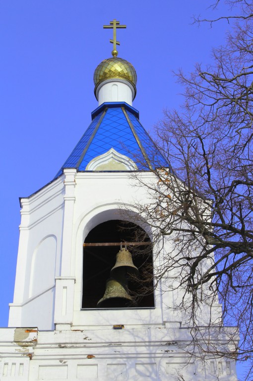 Церковь Успения Пресвятой Богородицы, Белые Колодези (Озёрский городской округ, Московская область). архитектурные детали