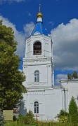 Церковь Успения Пресвятой Богородицы - Белые Колодези - Озёрский городской округ - Московская область