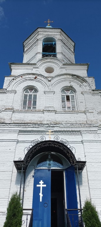 Николо-Пестровка. Церковь Спаса Преображения. архитектурные детали, 1741 год постройки