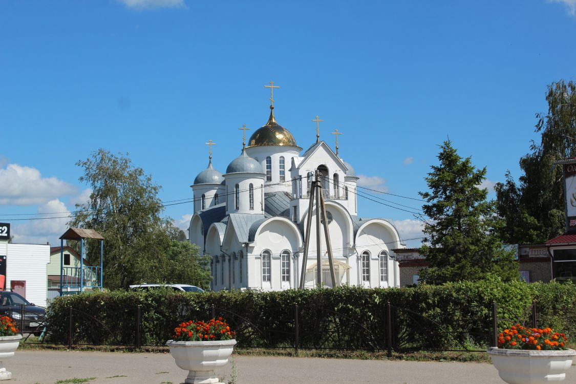 Церковь Рождества Христова, Земетчино (Земетчинский район, Пензенская область). фасады