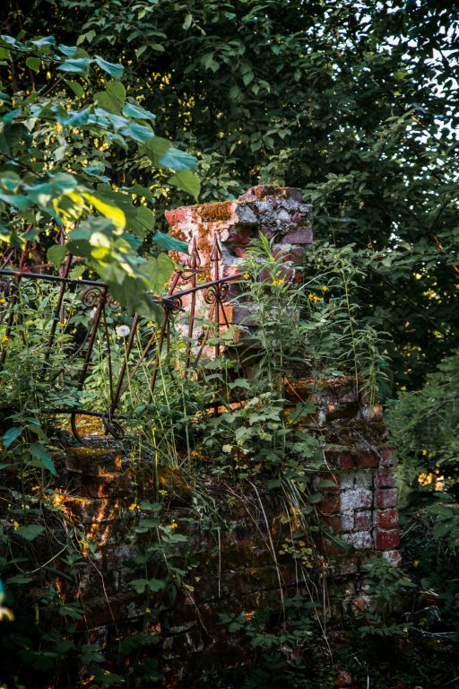Церковь Усекновения главы Иоанна Предтечи, Бабурино (Даниловский район, Ярославская область). архитектурные детали
