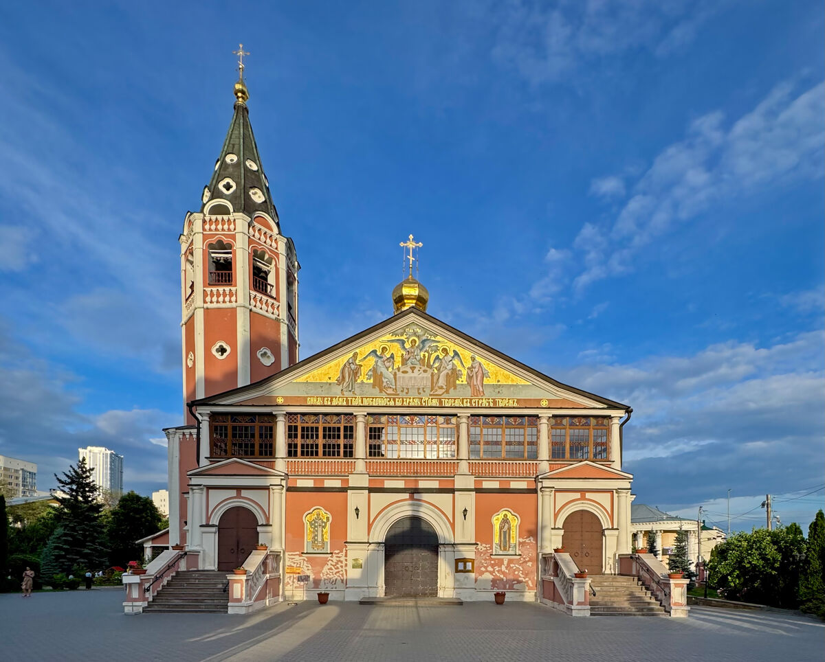 Кафедральный собор Троицы Живоначальной, Саратов (Саратов, город, Саратовская область). фасады, Вид через входные врата