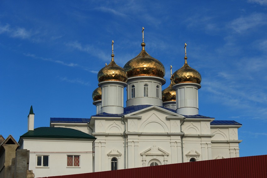 Благовещенский скит. Церковь Благовещения Пресвятой Богородицы, Фёдоровка (Тольятти, город, Самарская область). фасады, Вид со стороны Волги, из-за ограды скита