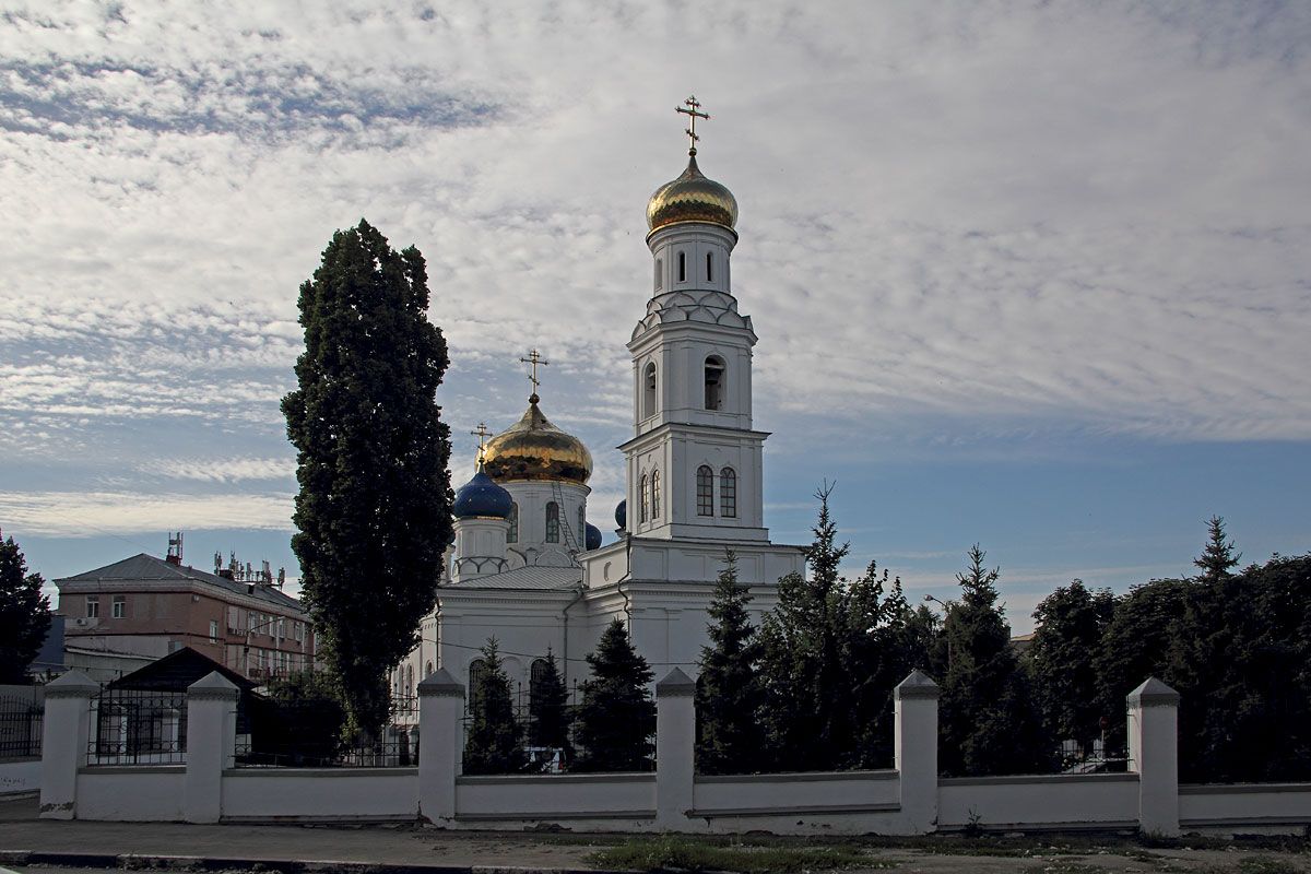 Собор Сошествия Святого Духа, Саратов (Саратов, город, Саратовская область). фасады