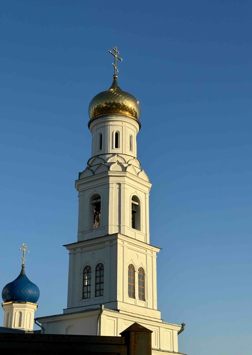 Собор Сошествия Святого Духа, Саратов (Саратов, город, Саратовская область). фасады