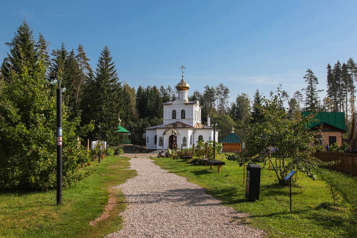общий вид в ландшафте. Спасо-Преображенский скит, Оковцы (Селижаровский район, Тверская область)