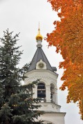 Богородице-Рождественский мужской монастырь. Церковь Александра Невского в колокольне, , Владимир, Владимир, город, Владимирская область