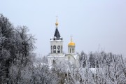 Богородице-Рождественский мужской монастырь. Церковь Александра Невского в колокольне - Владимир - Владимир, город - Владимирская область