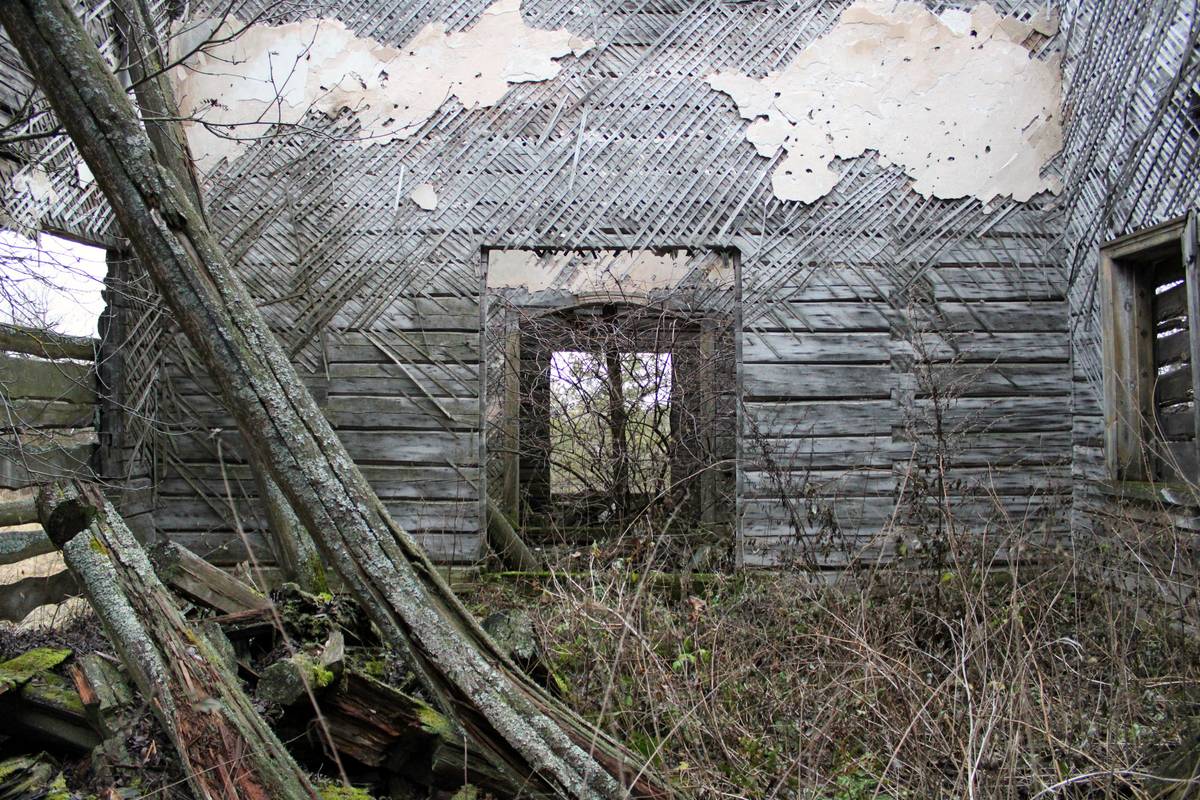 интерьер и убранство. Церковь Николая Чудотворца, Языково (Судогодский район, Владимирская область)