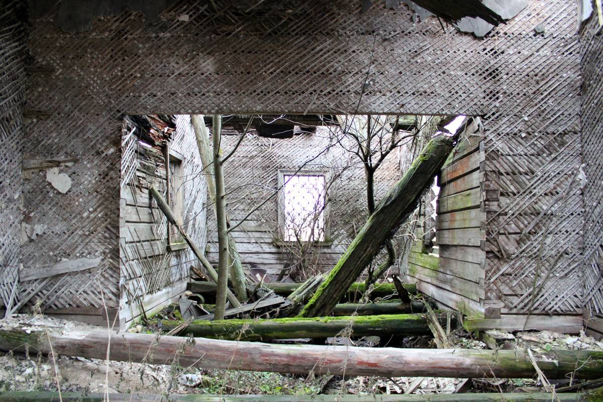 интерьер и убранство. Церковь Николая Чудотворца, Языково (Судогодский район, Владимирская область)