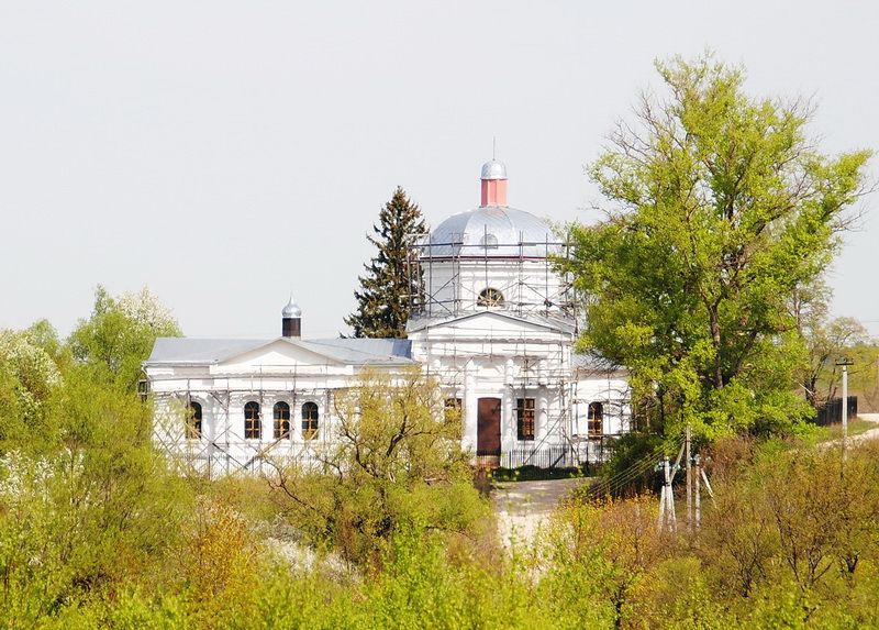 Церковь Покрова Пресвятой Богородицы, Волковичи (Заокский район, Тульская область). общий вид в ландшафте