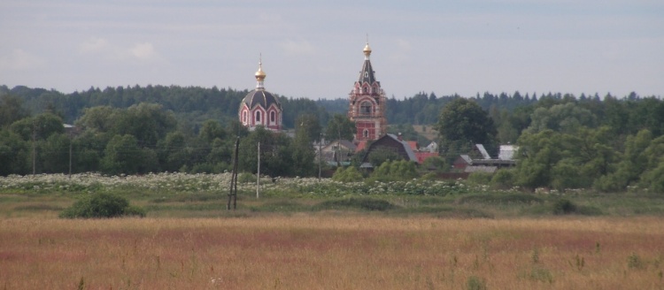 Мышкино. Церковь Успения Пресвятой Богородицы. общий вид в ландшафте, Панорама села Мышкино с храмом