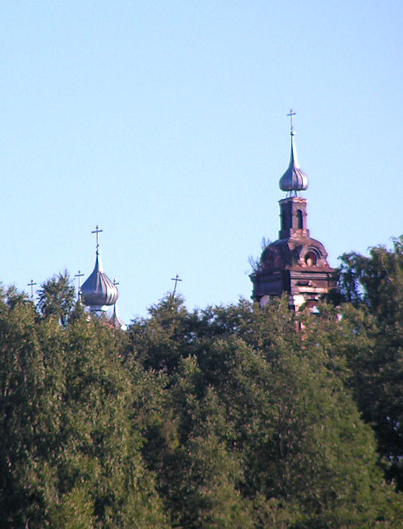 Церковь Введения во храм Пресвятой Богородицы, Красные Пожни (Красносельский район, Костромская область). общий вид в ландшафте