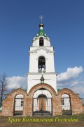 Церковь Богоявления Господня - Нечкино - Сарапульский район и г. Сарапул - Республика Удмуртия