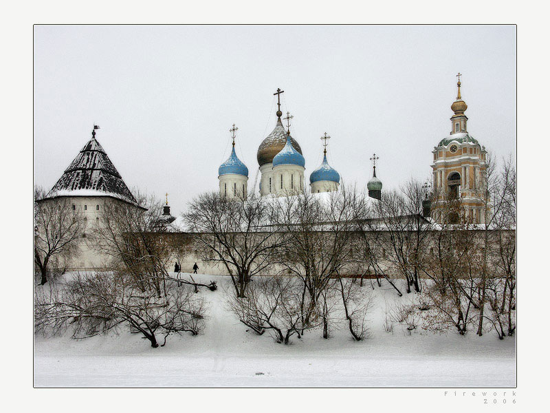 Таганский. Новоспасский монастырь. общий вид в ландшафте, 		      