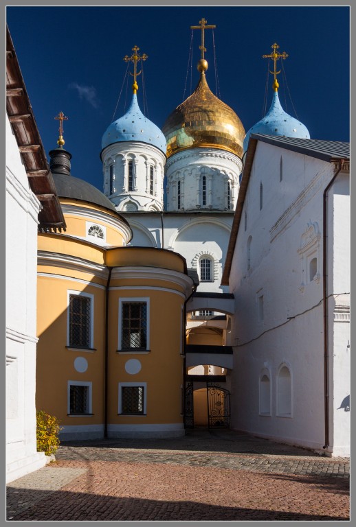 Таганский. Новоспасский монастырь. художественные фотографии