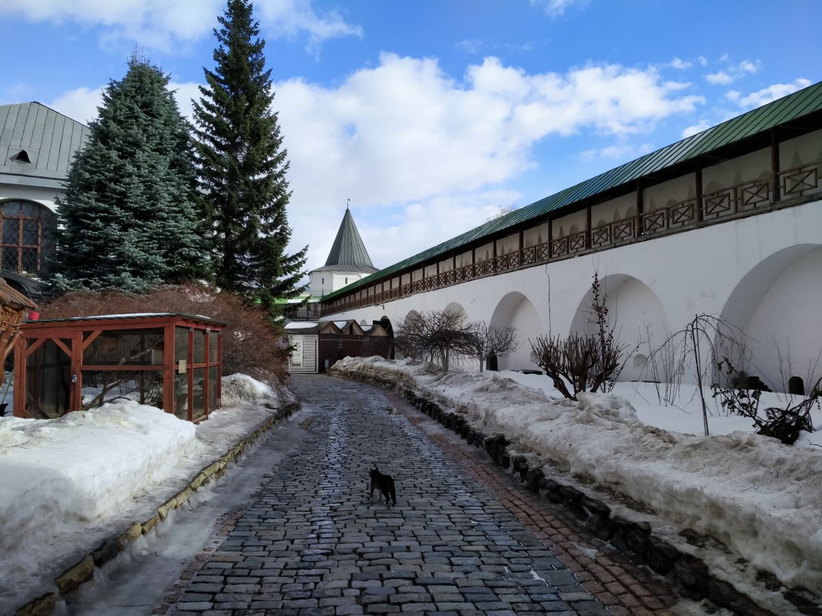 Новоспасский монастырь, Таганский (Центральный административный округ (ЦАО), г. Москва). дополнительная информация