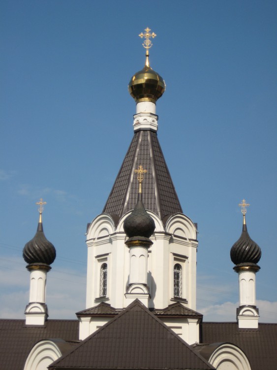 Церковь Рождества Христова, Домодедово (Домодедовский городской округ, Московская область). архитектурные детали