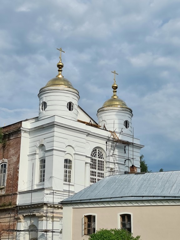 Рощино. Церковь Воскресения Христова. архитектурные детали, Новые купола световых барабанов. Вид с северо - запада